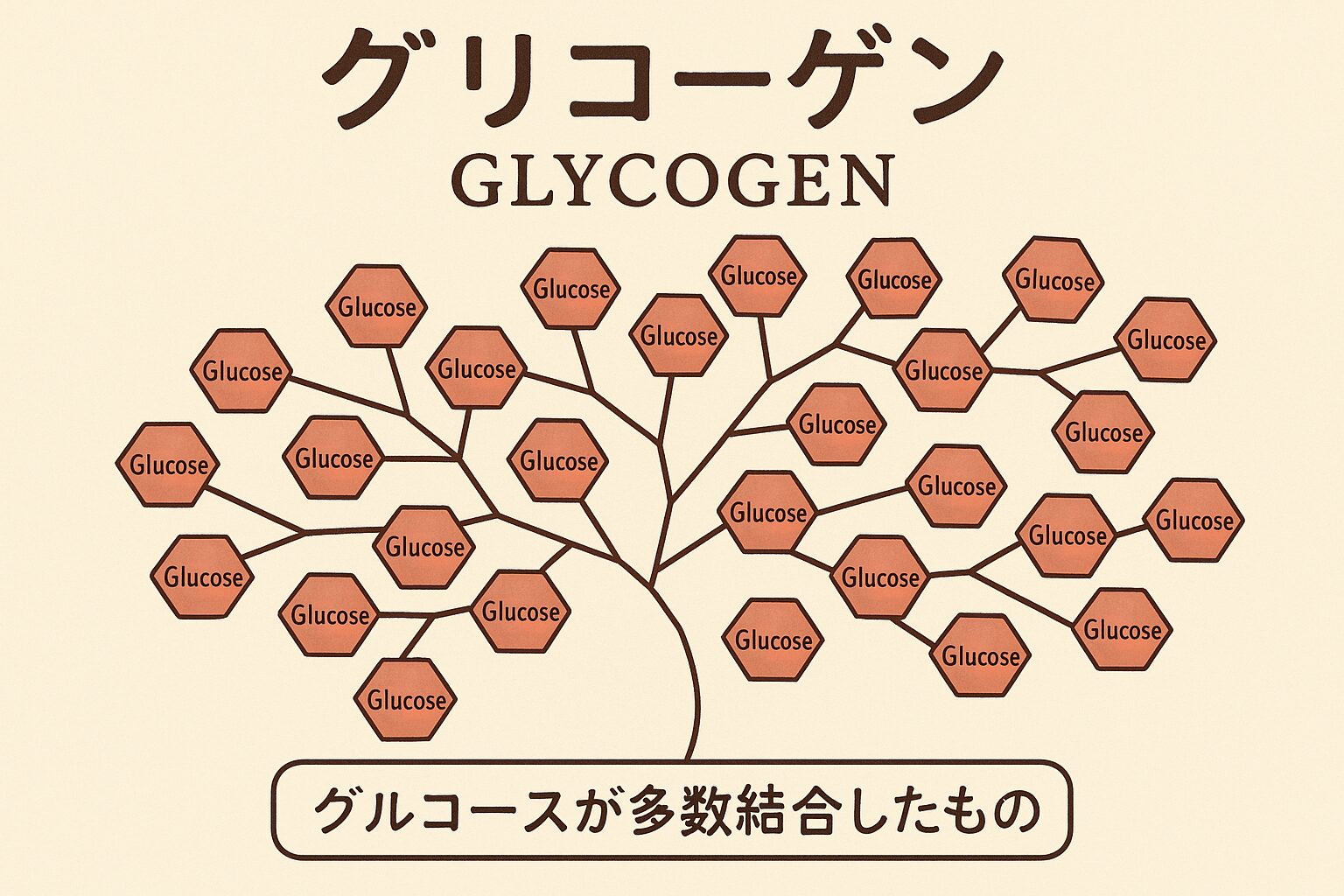 グリコーゲンってなに？筋トレ民が知っておきたいエネルギー源の基本知識